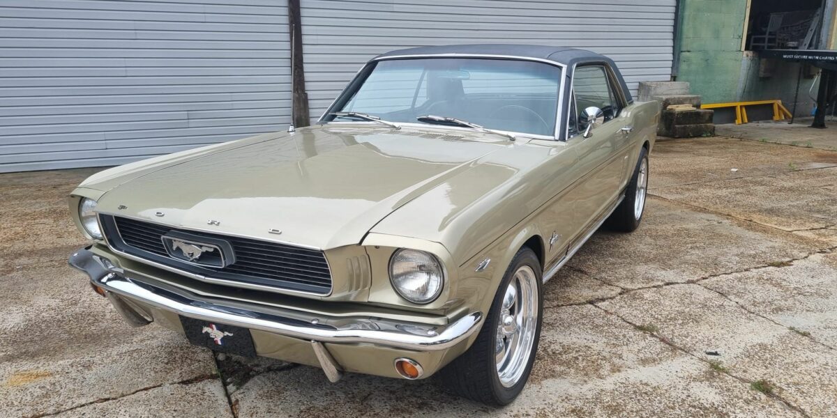 PHOTO-2023-04-07-11-11-13-1